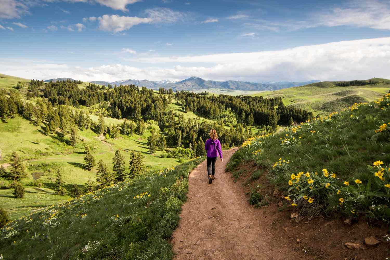 Hiking near Bozeman, Montana