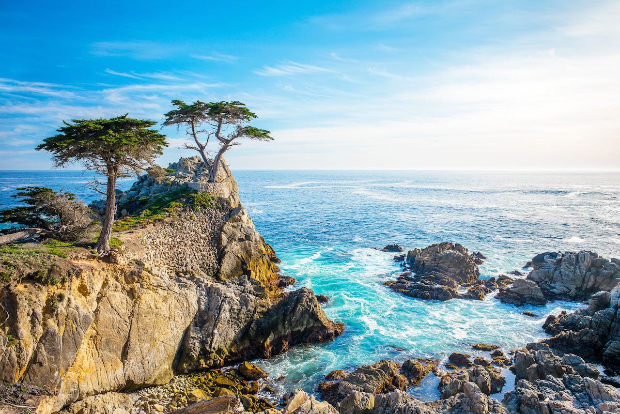 The Lone Cypress on a rocky headland above the Pacific surf